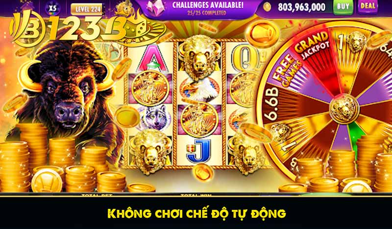 Không chơi chế độ tự động